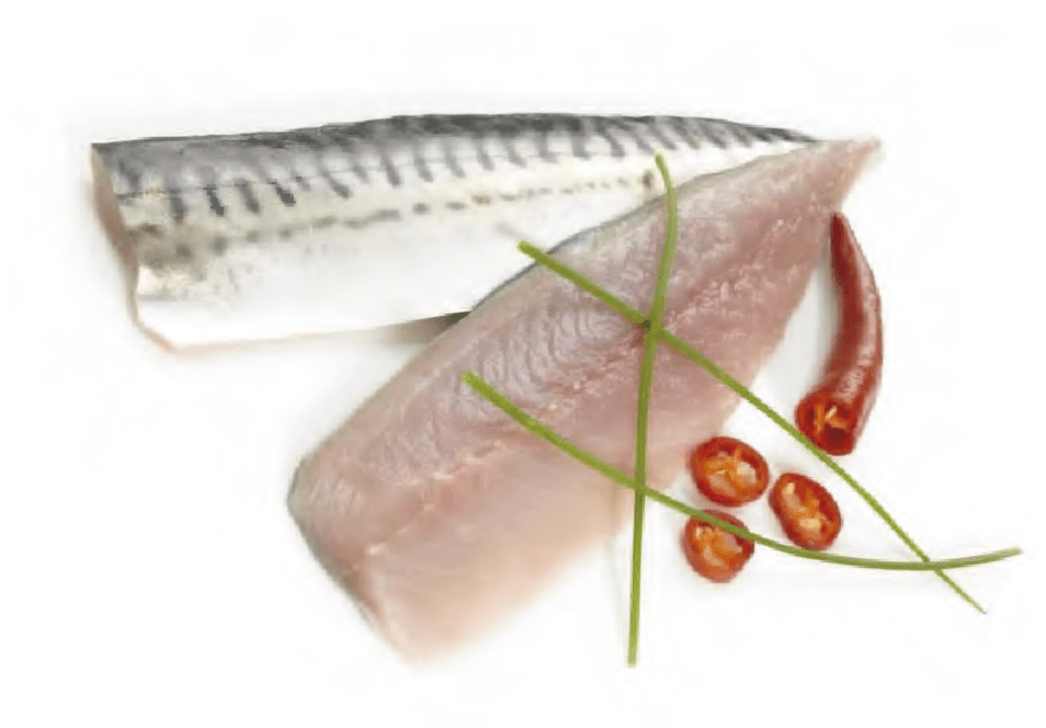 Atlantic Mackerel