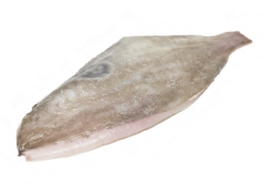 John Dory